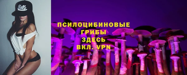 прущая мука Алзамай