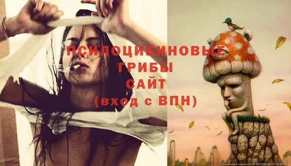 прущая мука Алзамай
