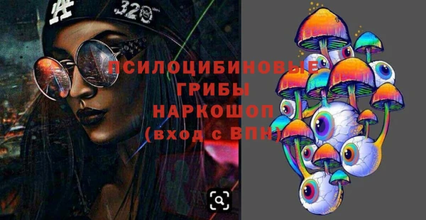 PSILOCYBIN Абаза