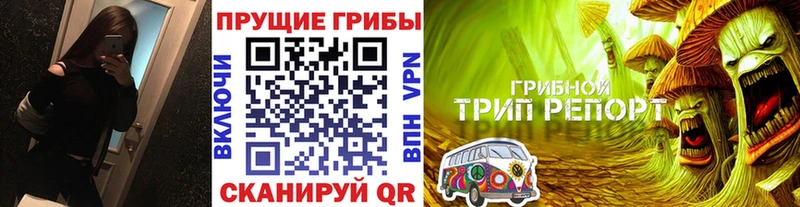 Псилоцибиновые грибы MAGIC MUSHROOMS  где купить   Иланский 